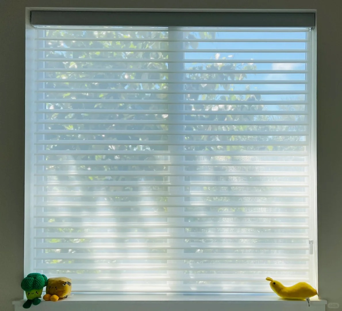 Semi-transparent Sheer Curtain