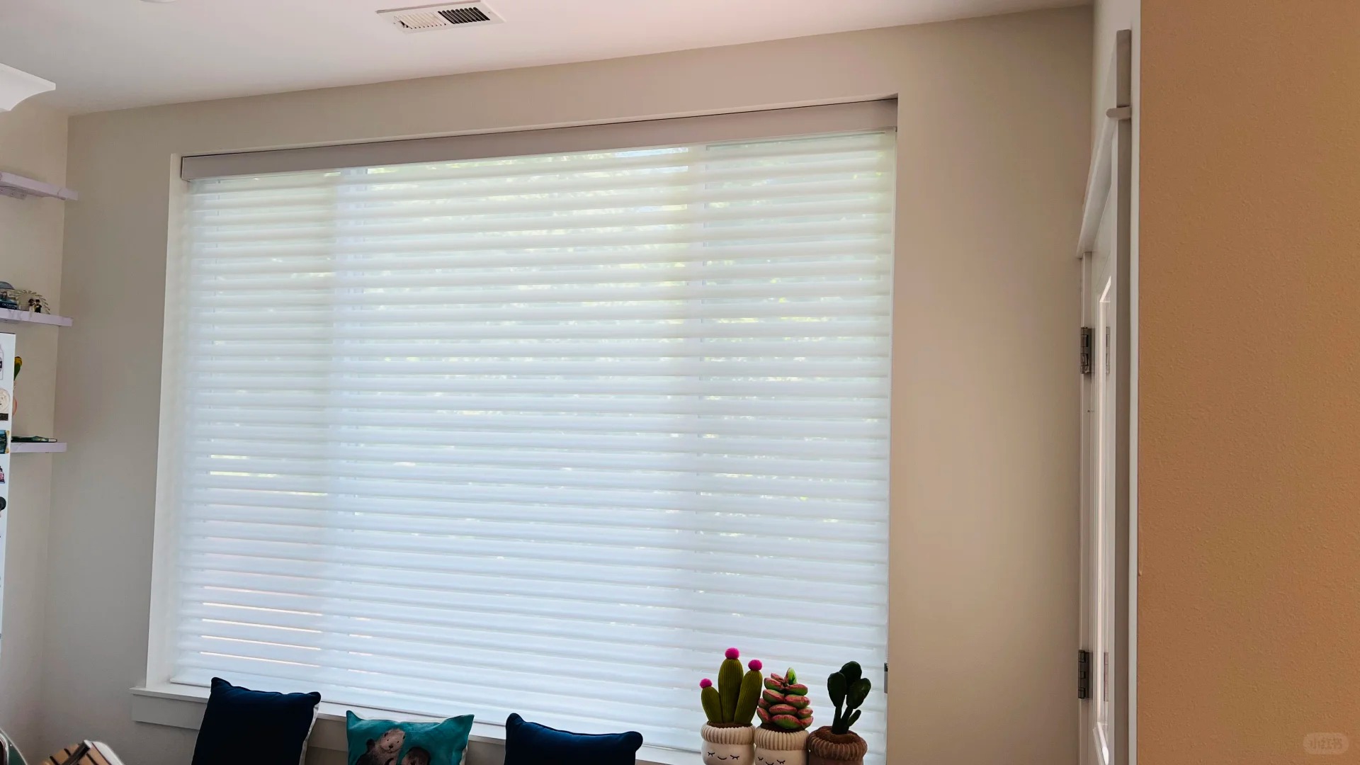 Dual-function Window Treatment