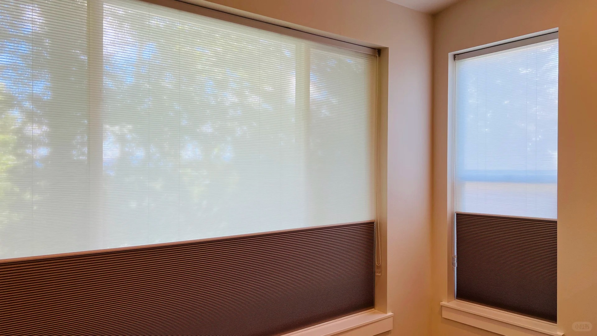 Window Treatment Variety